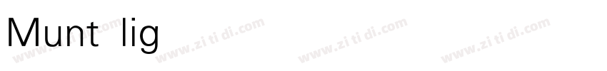 Munt light字体转换